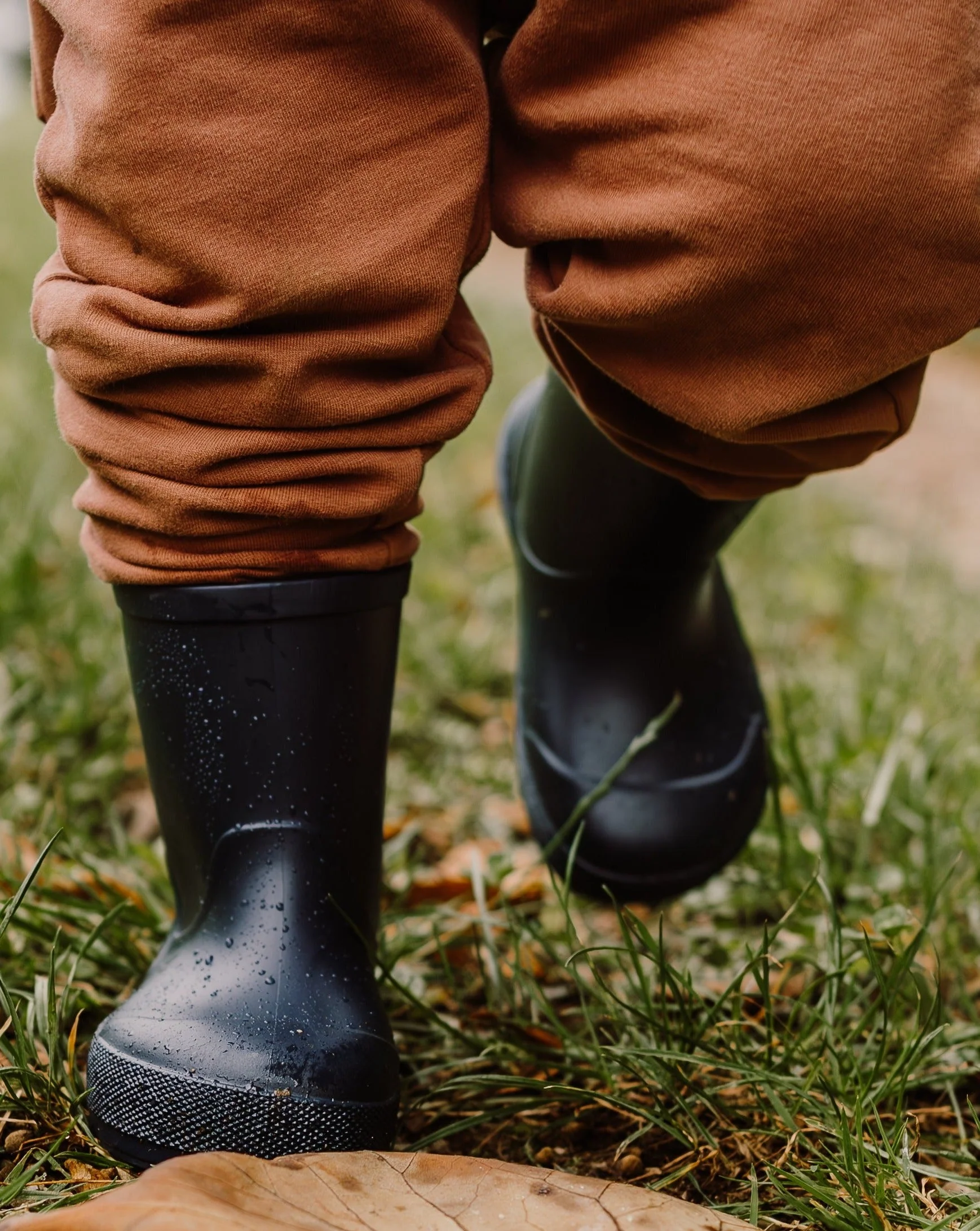 Imagen del producto 12