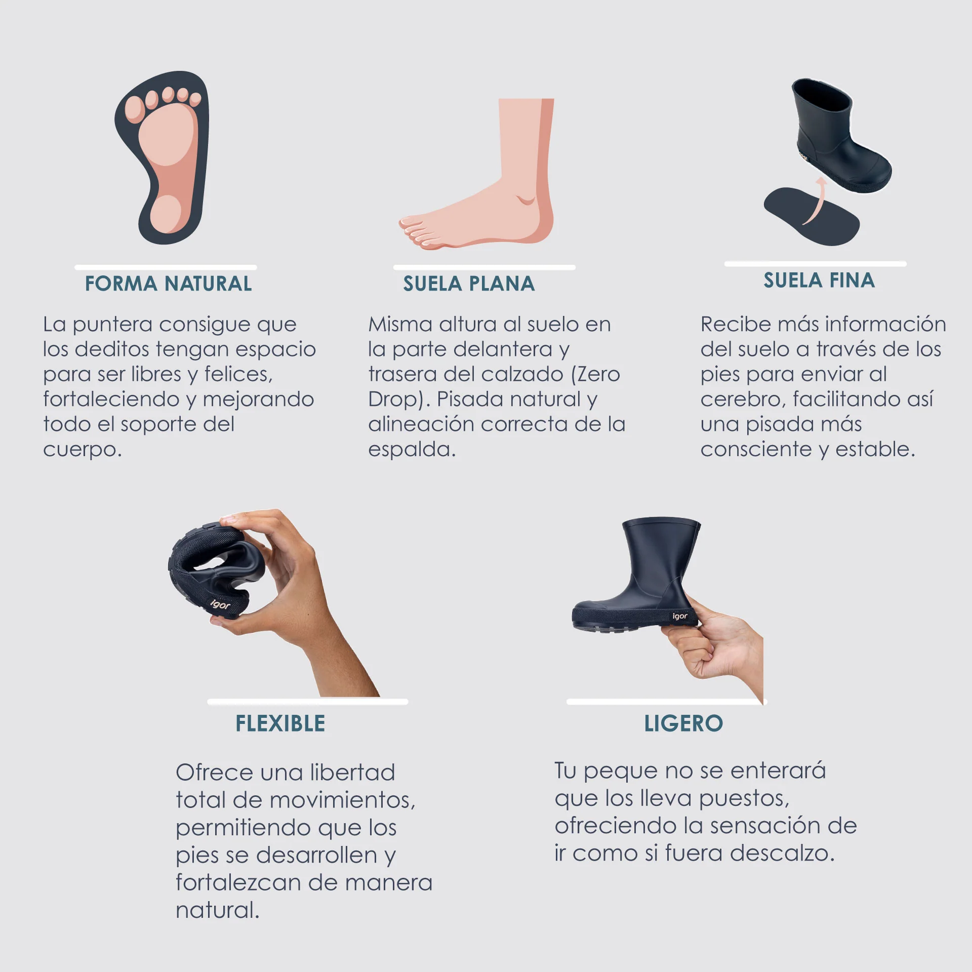 Imagen del producto 12