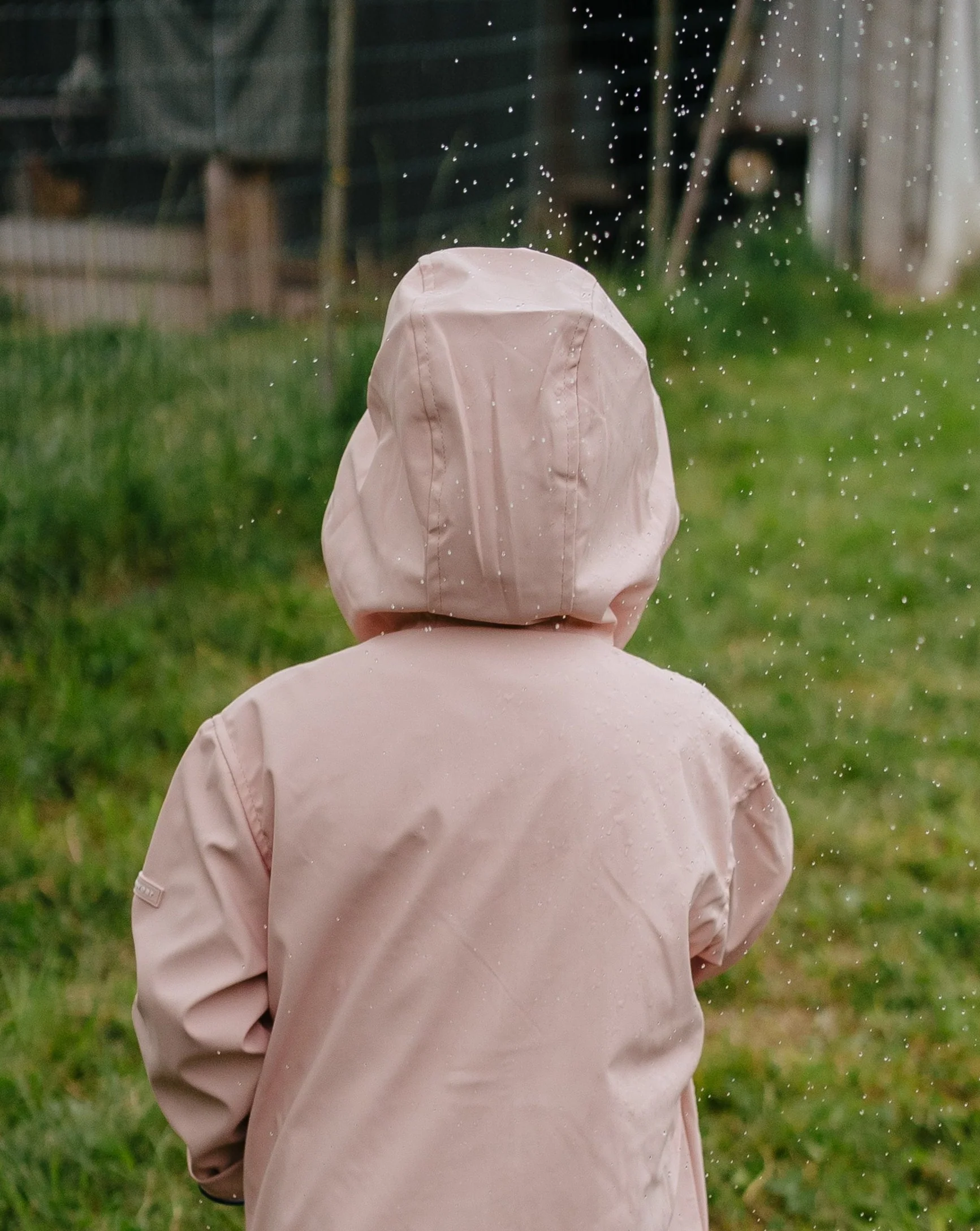 Imagen del producto 12