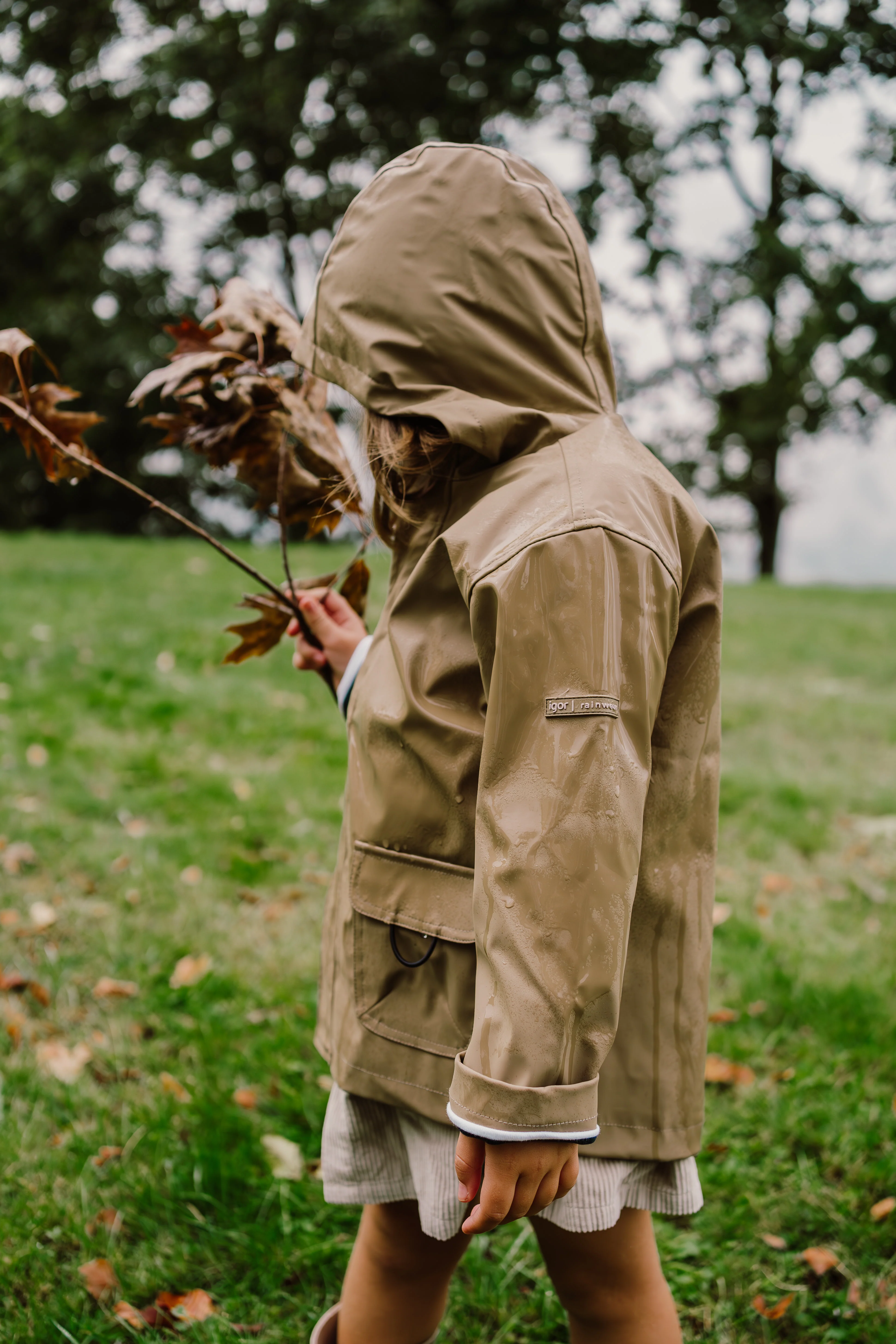 Imagen del producto 10