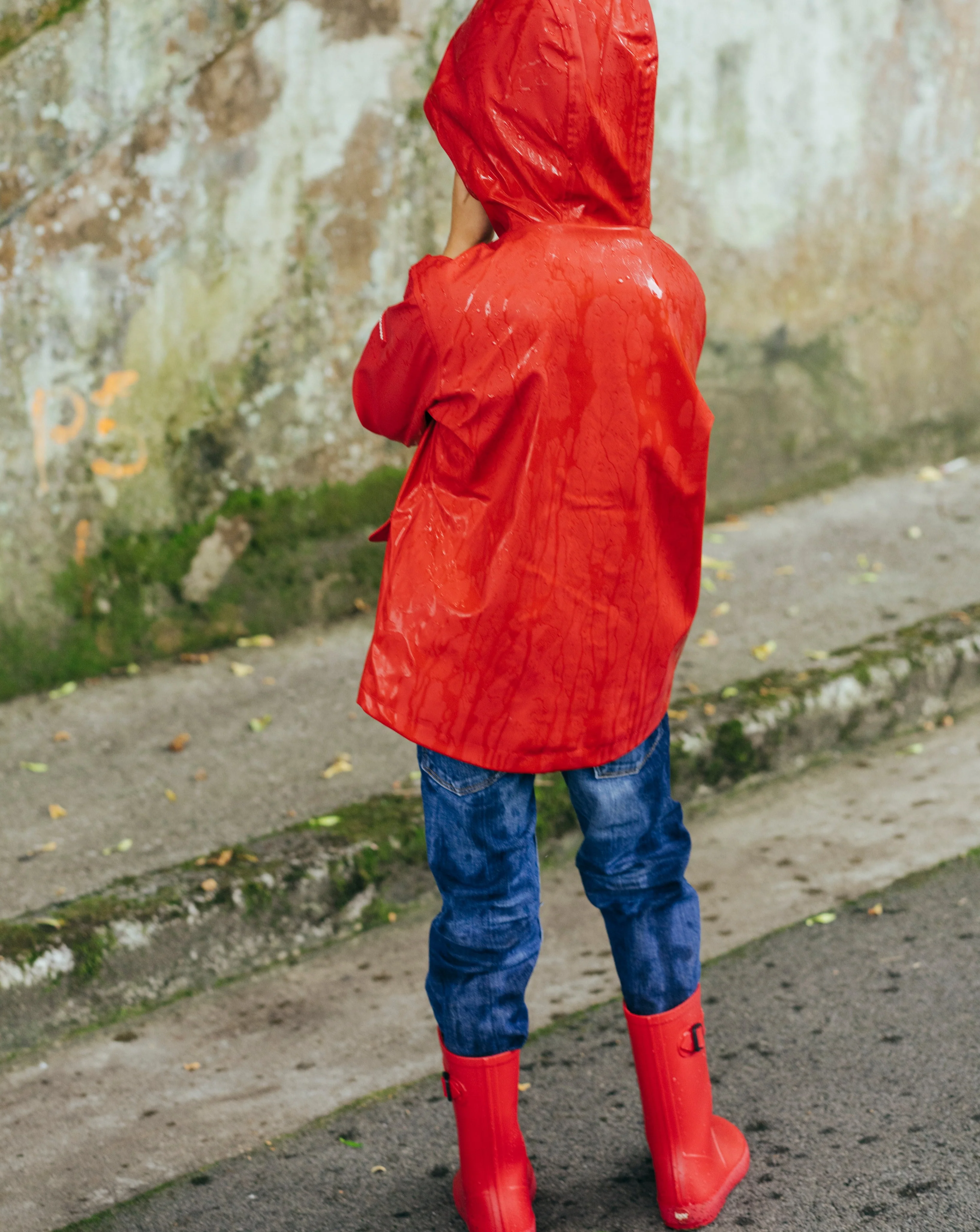 Imagen del producto 12